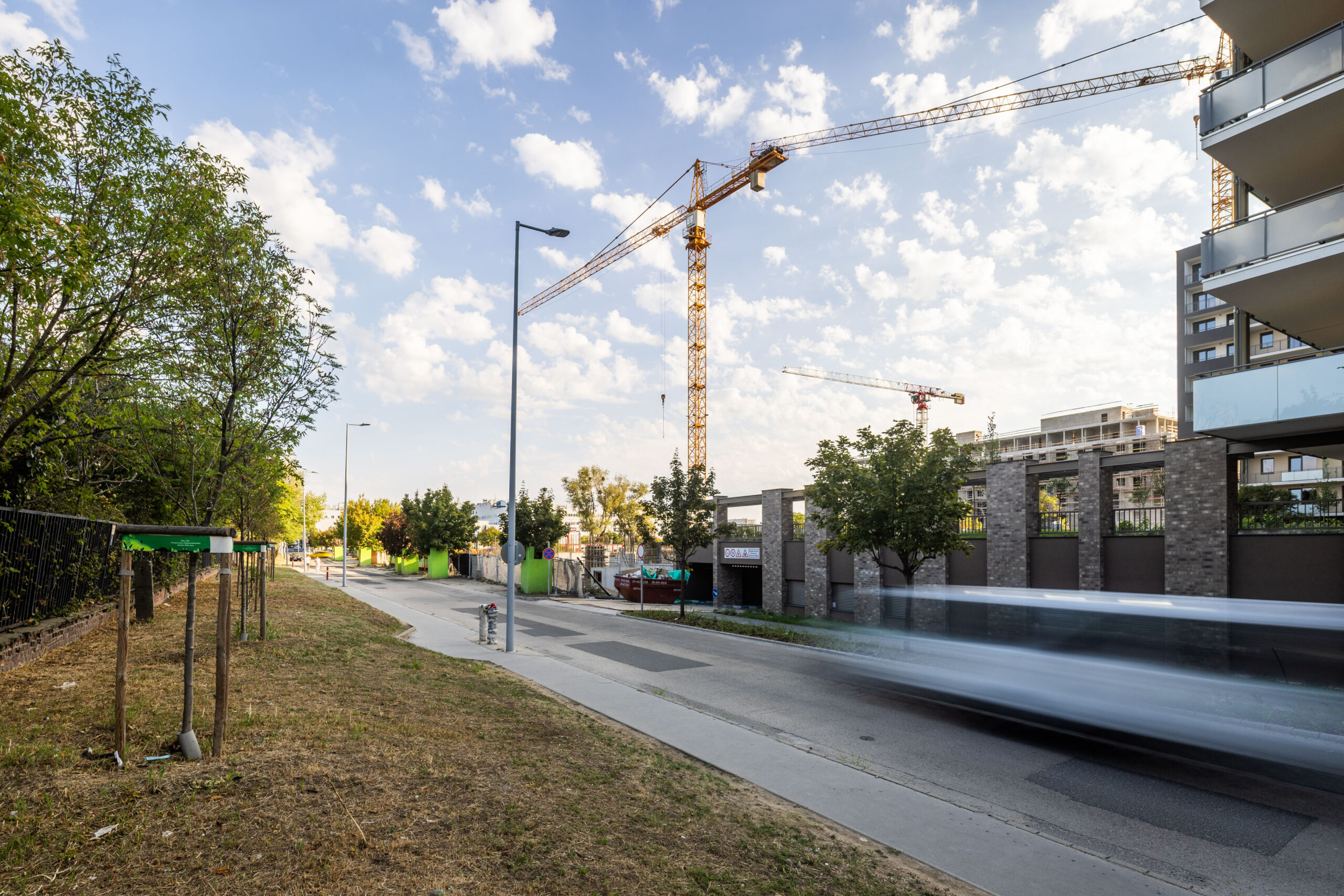 Woodland September 2025