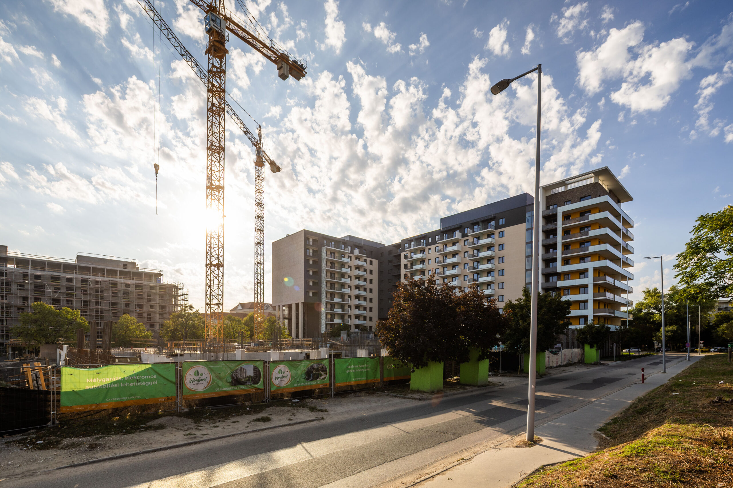 Woodland September 2025