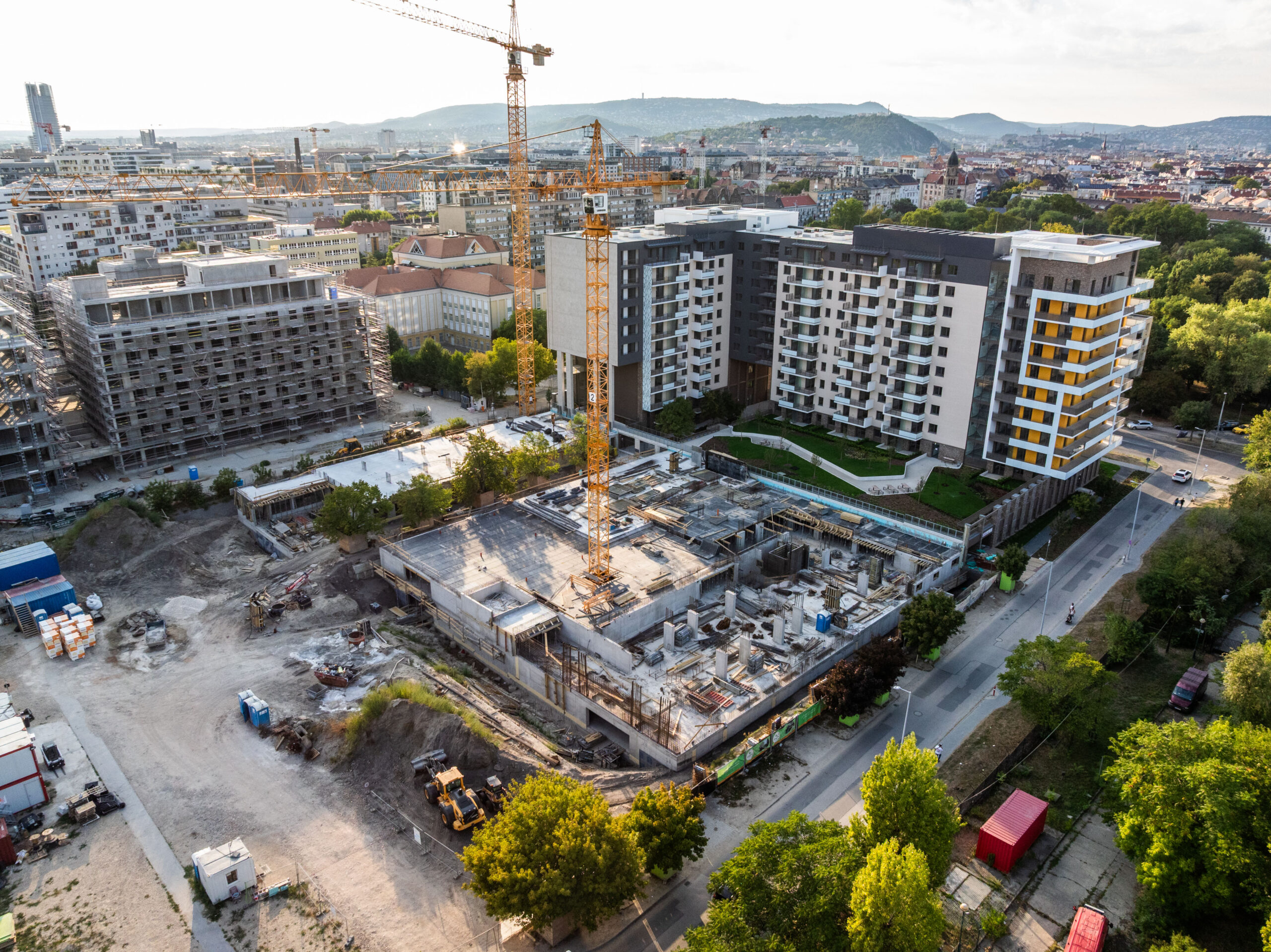 Woodland September 2025