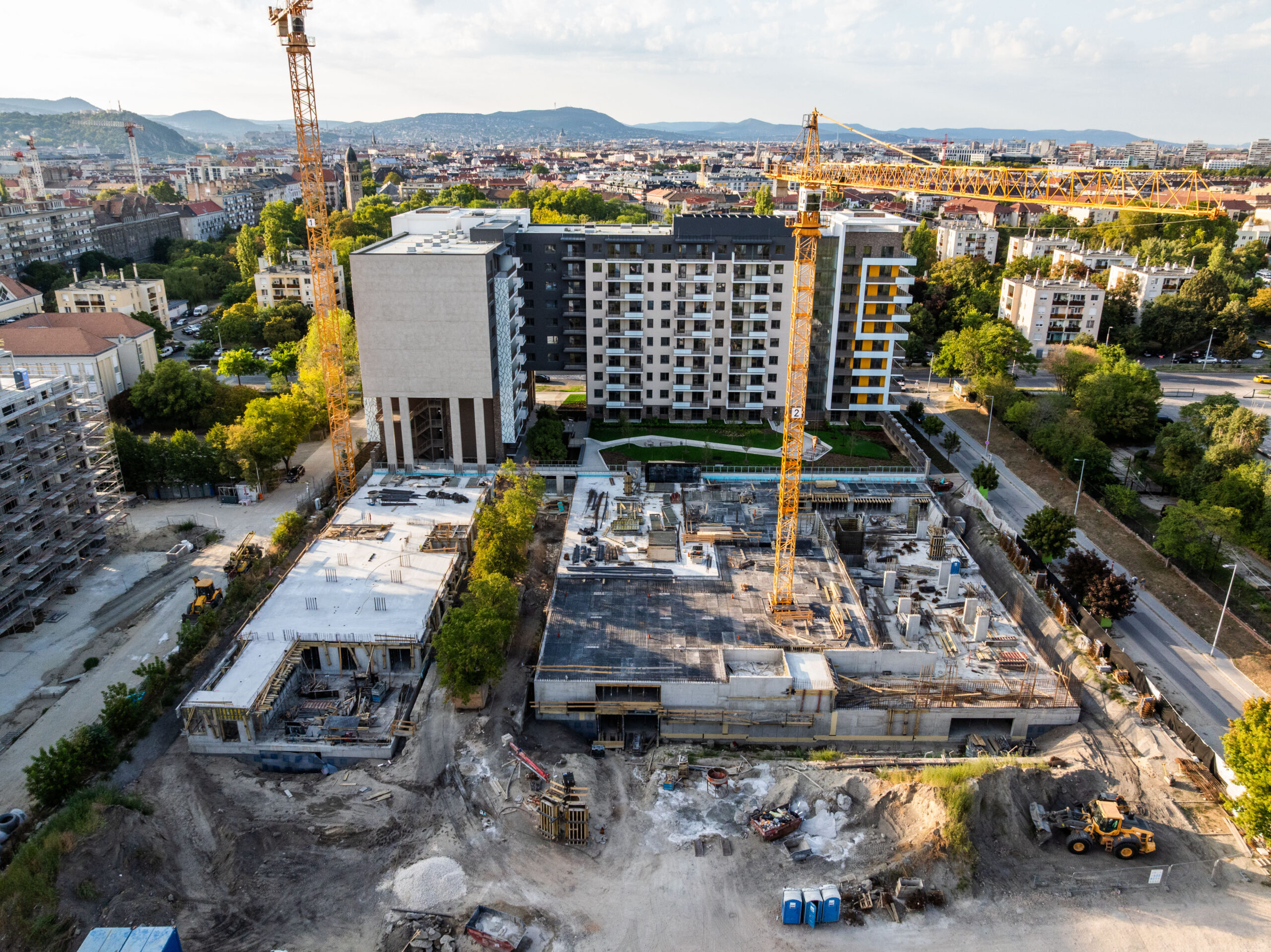 Woodland September 2025