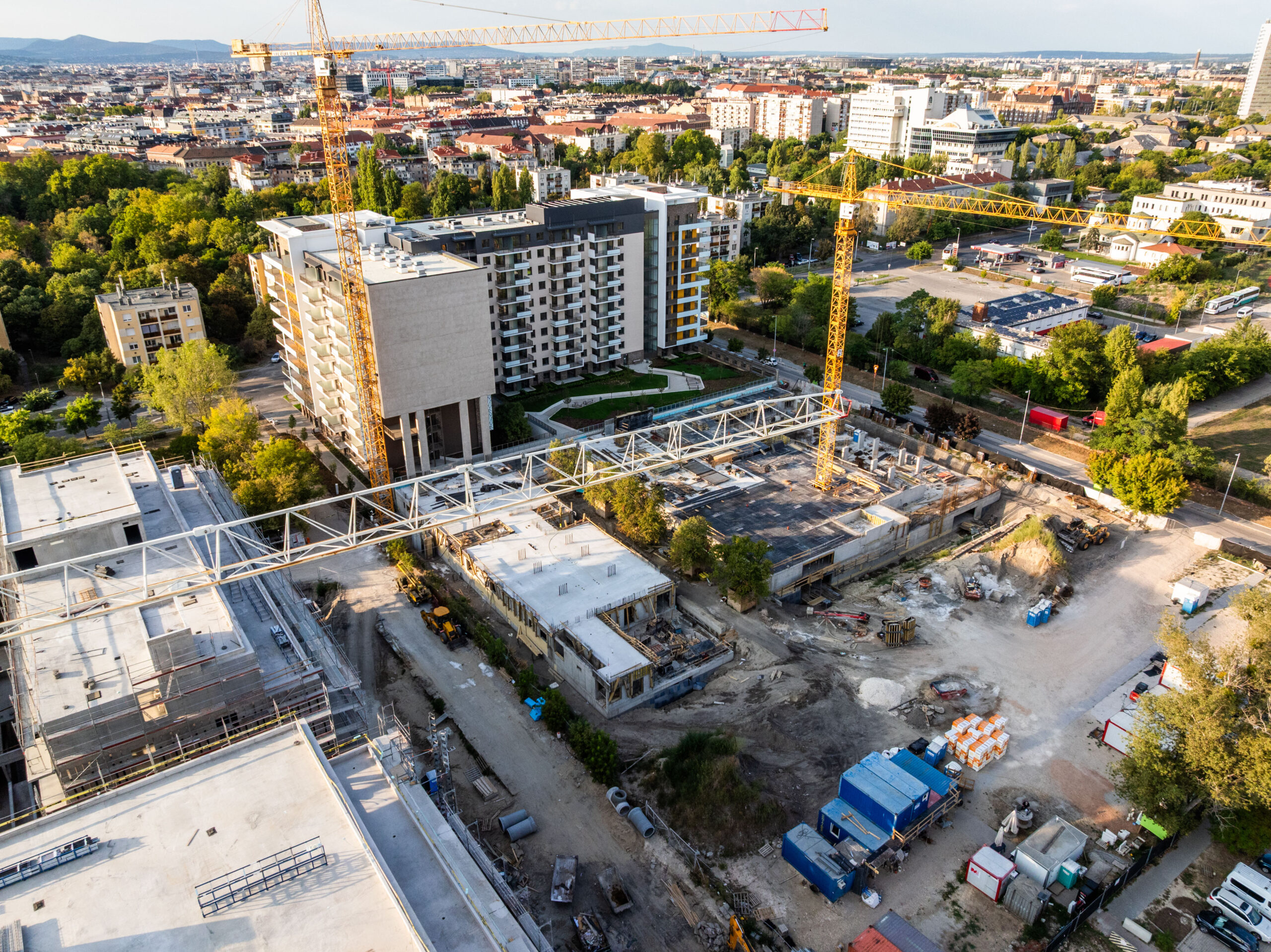 Woodland September 2025