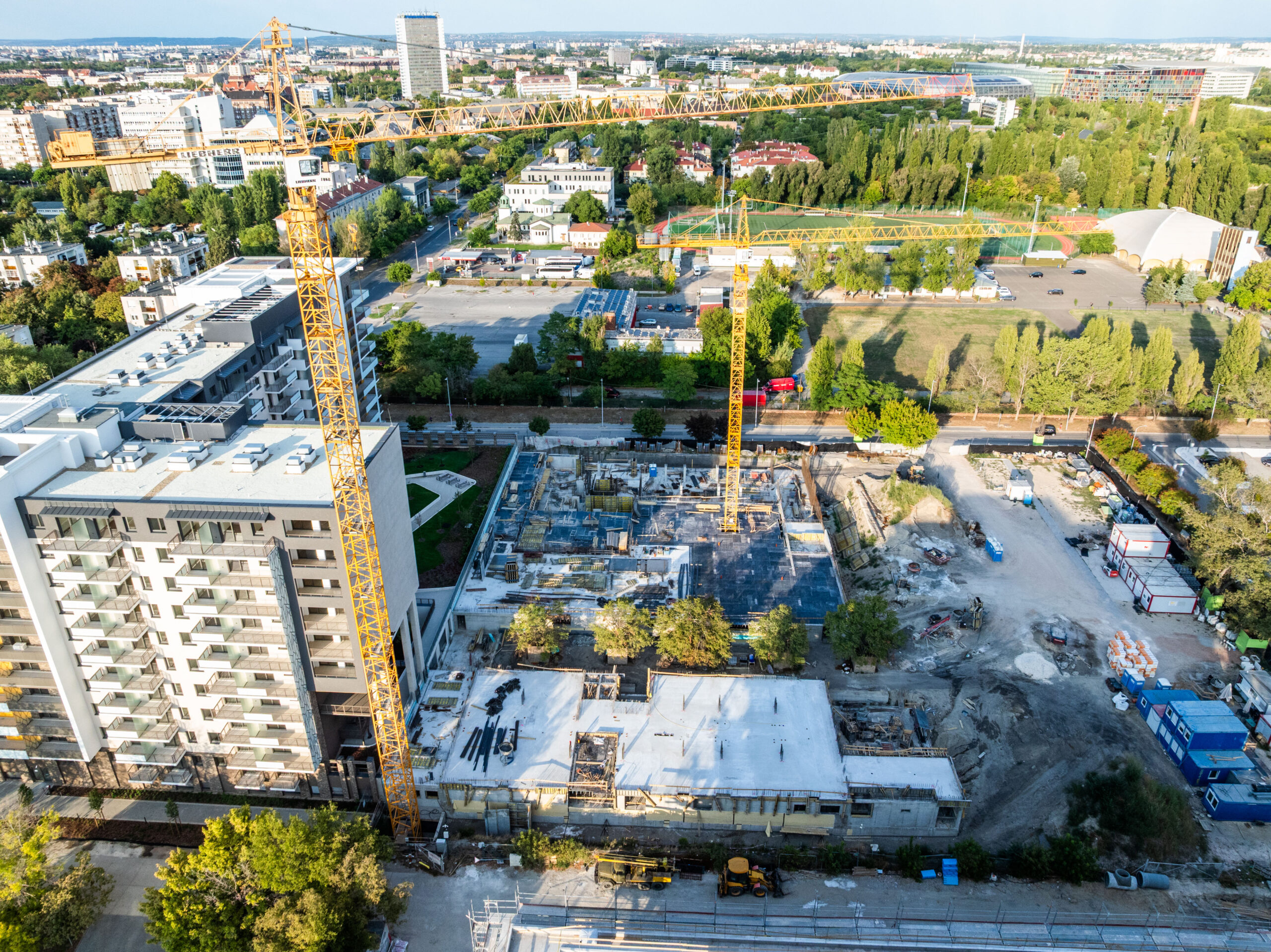 Woodland September 2025