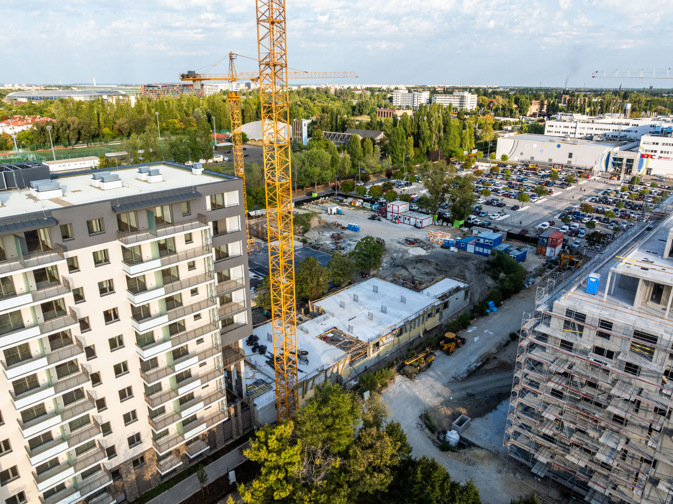 Woodland September 2025