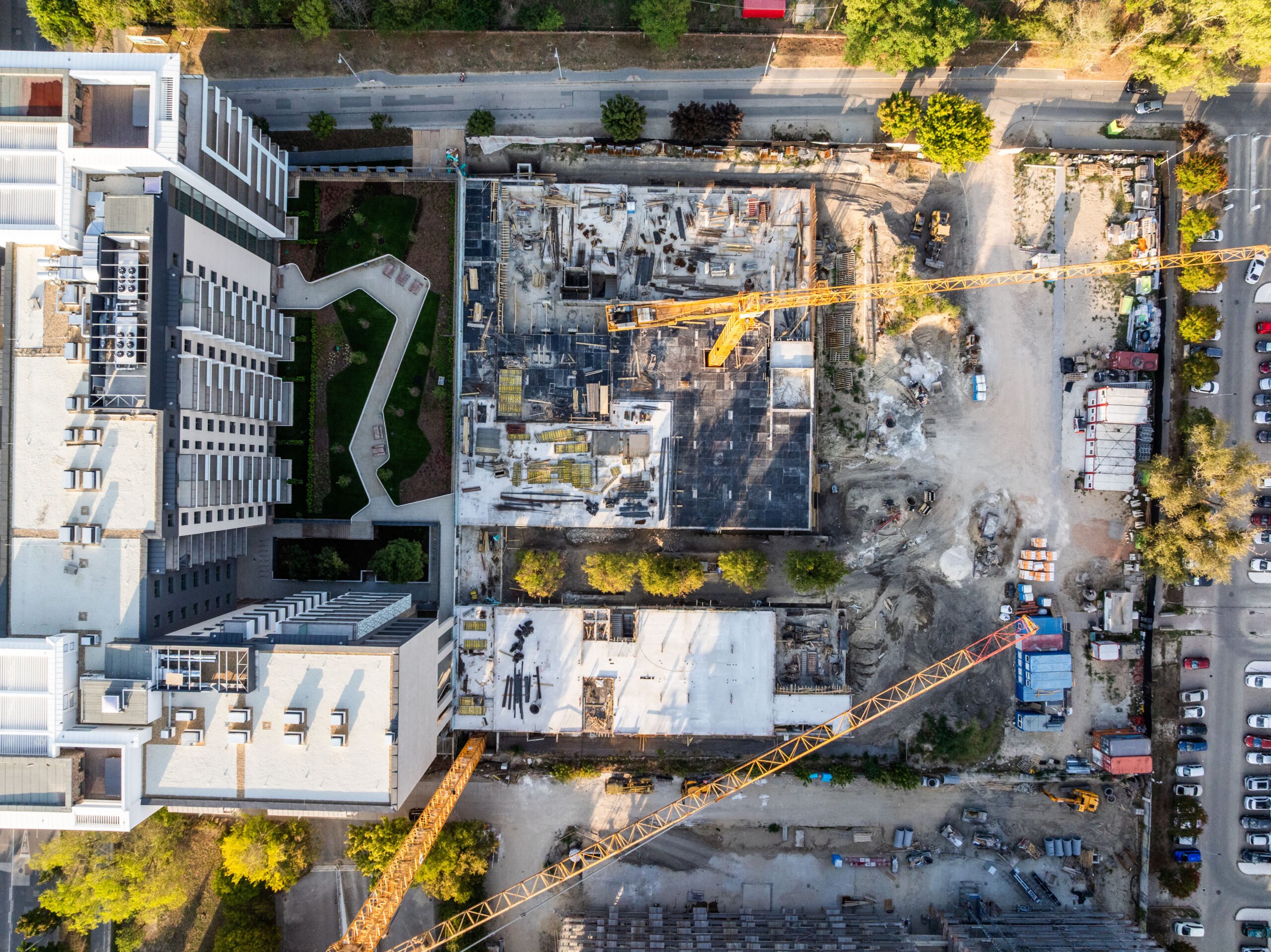 Woodland September 2025