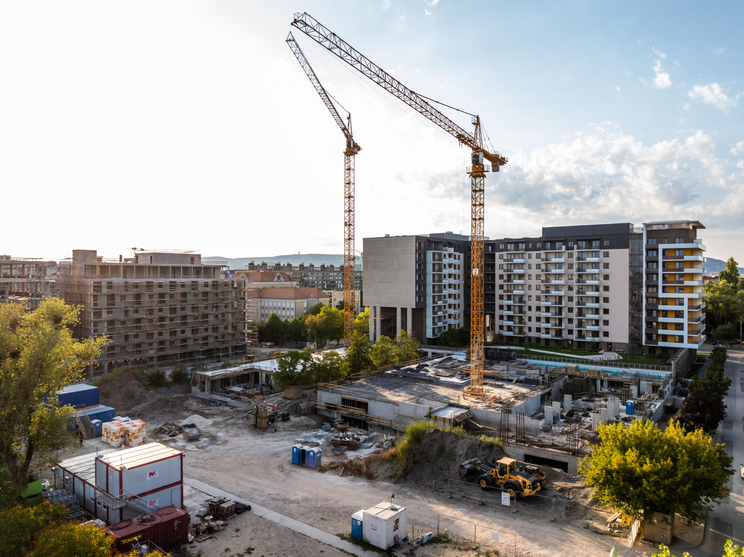 Woodland September 2025