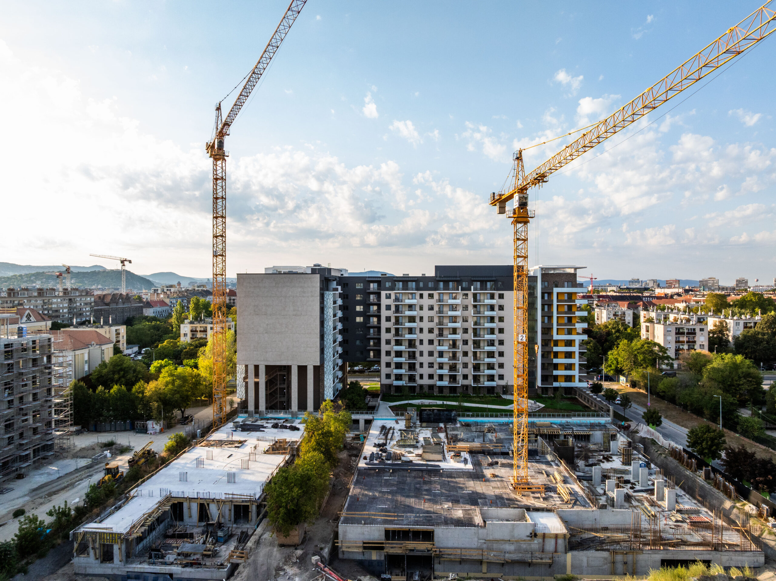 Woodland September 2025