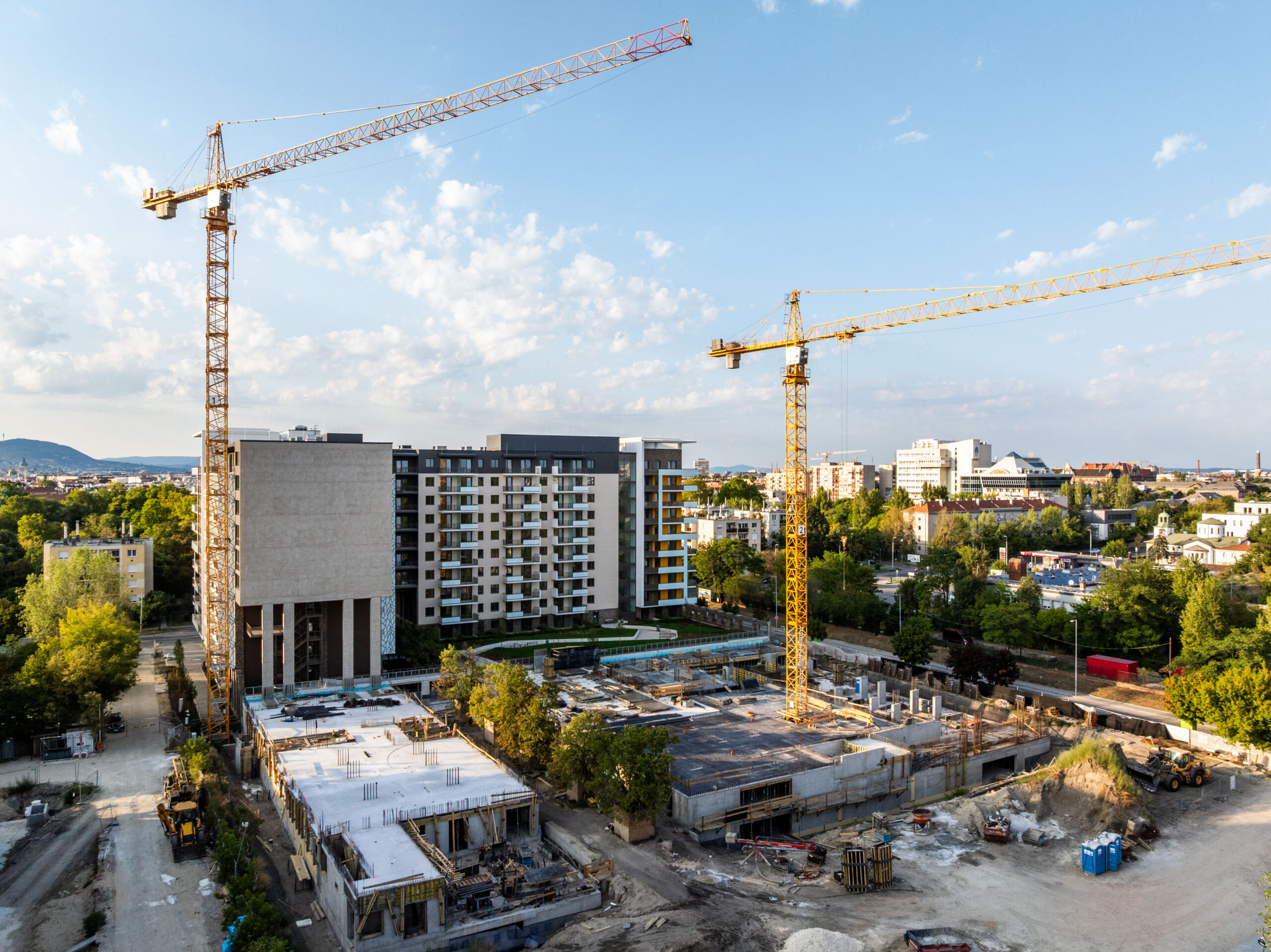 Woodland September 2025