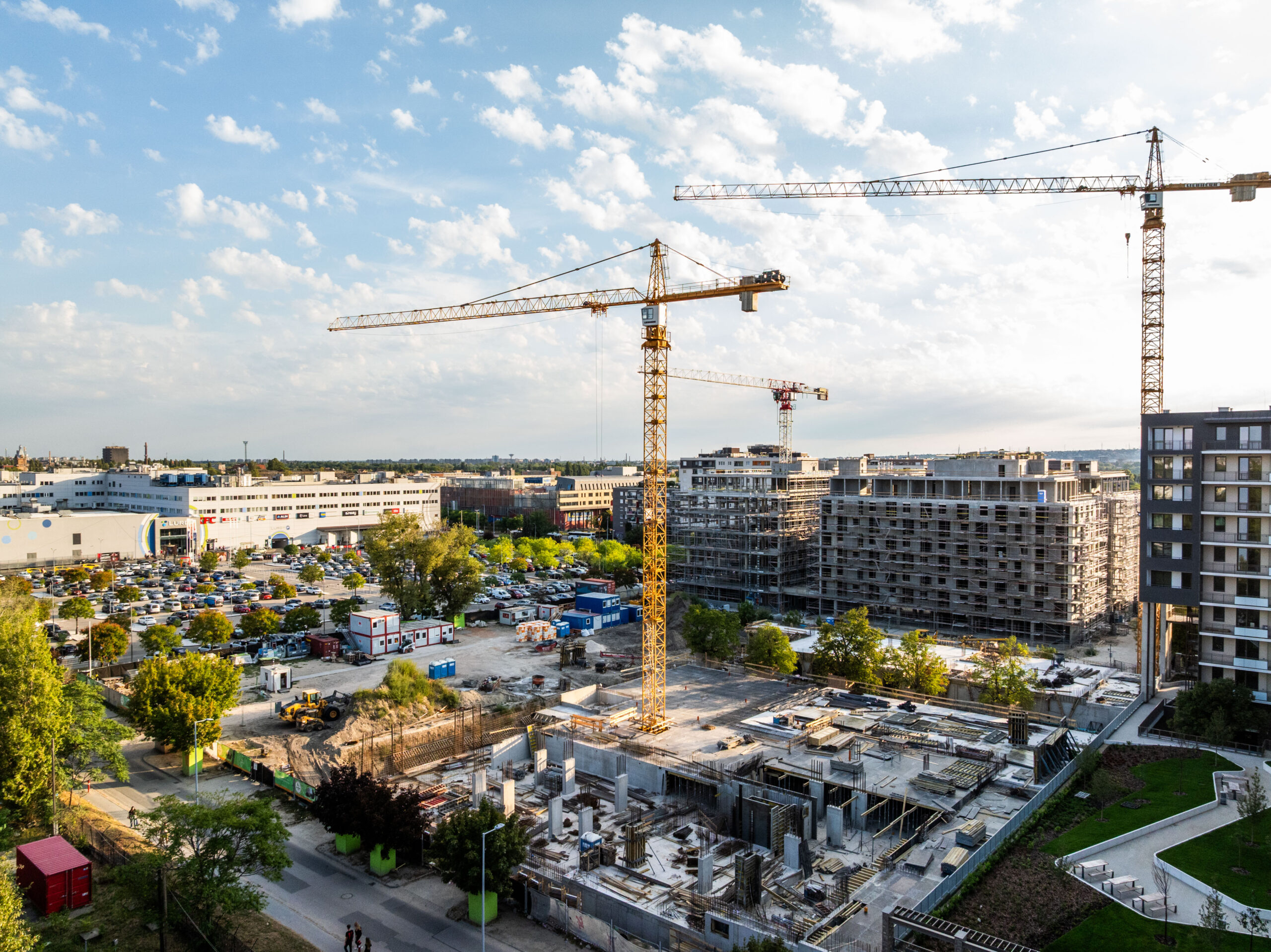 Woodland September 2025