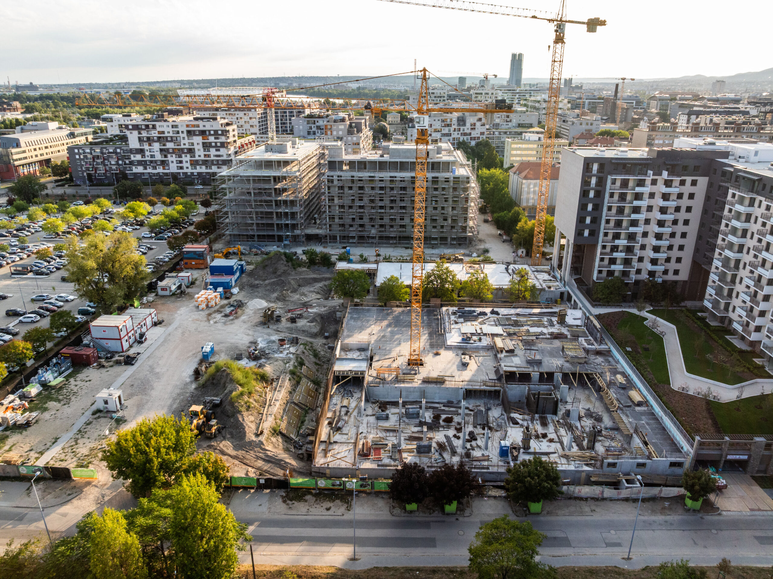 Woodland September 2025