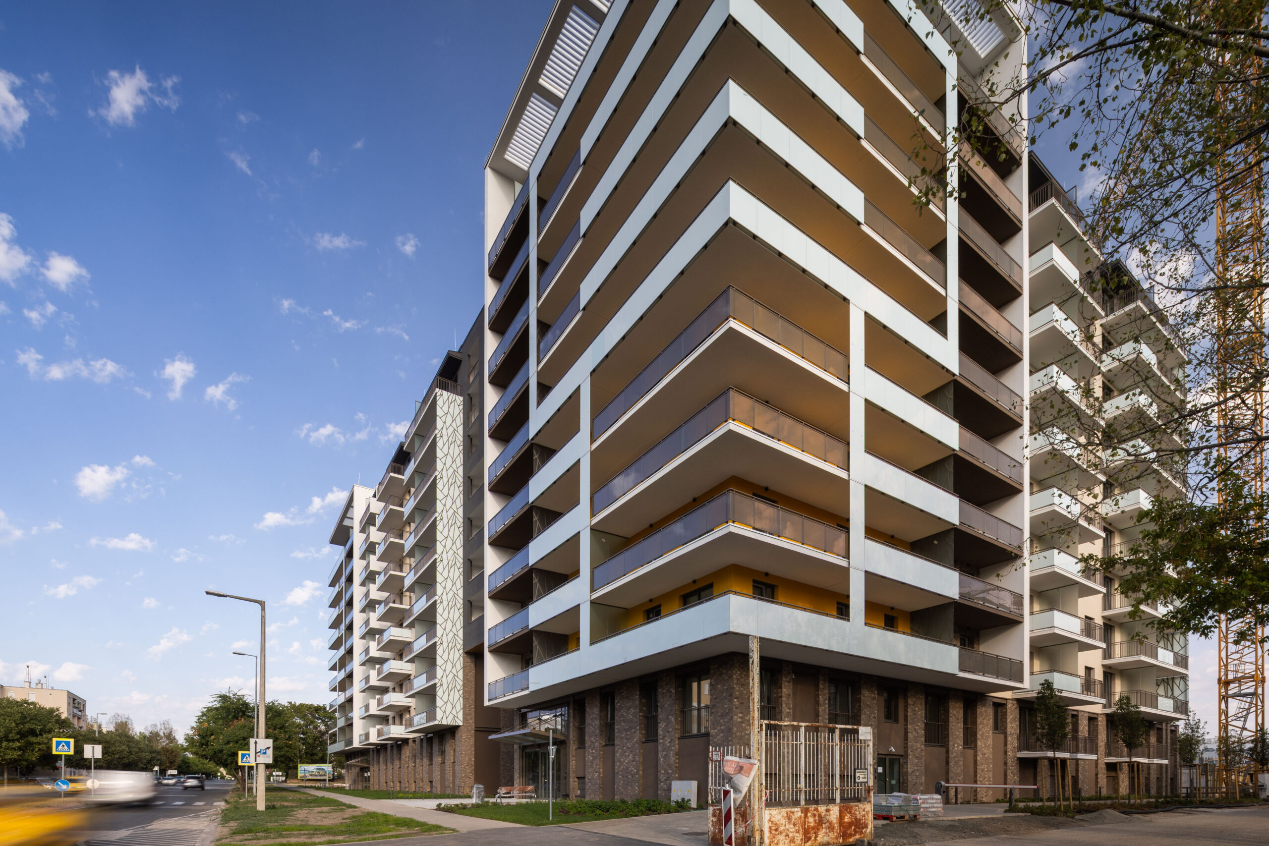 Woodland September 2025