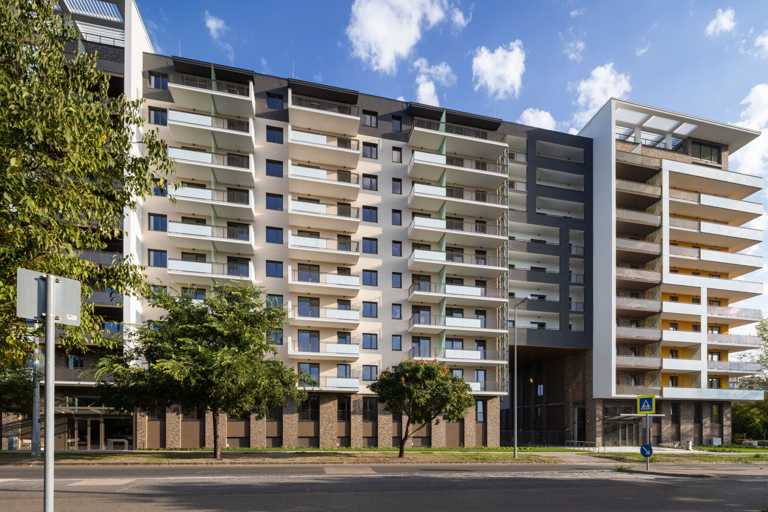 Woodland September 2025