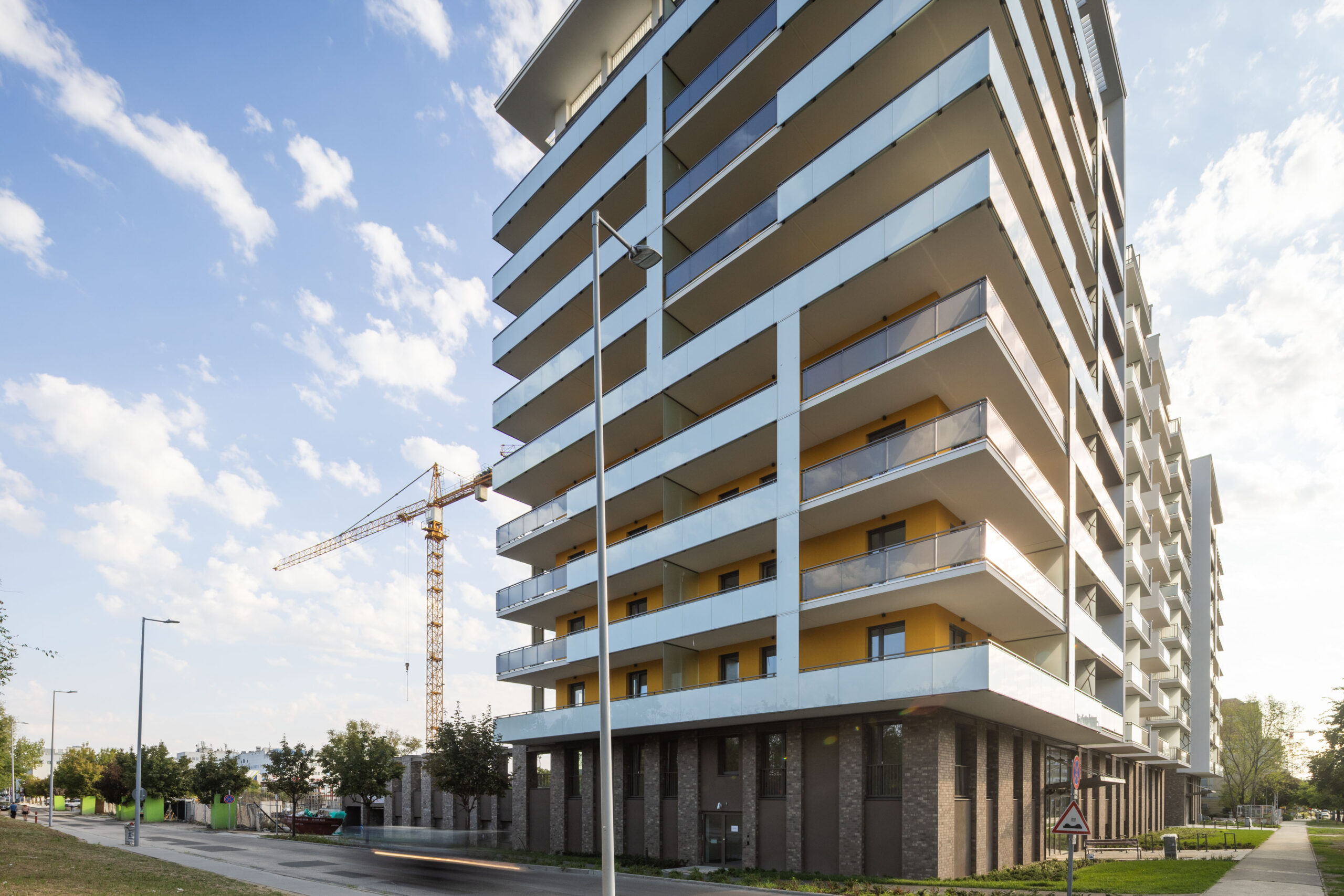 Woodland September 2025