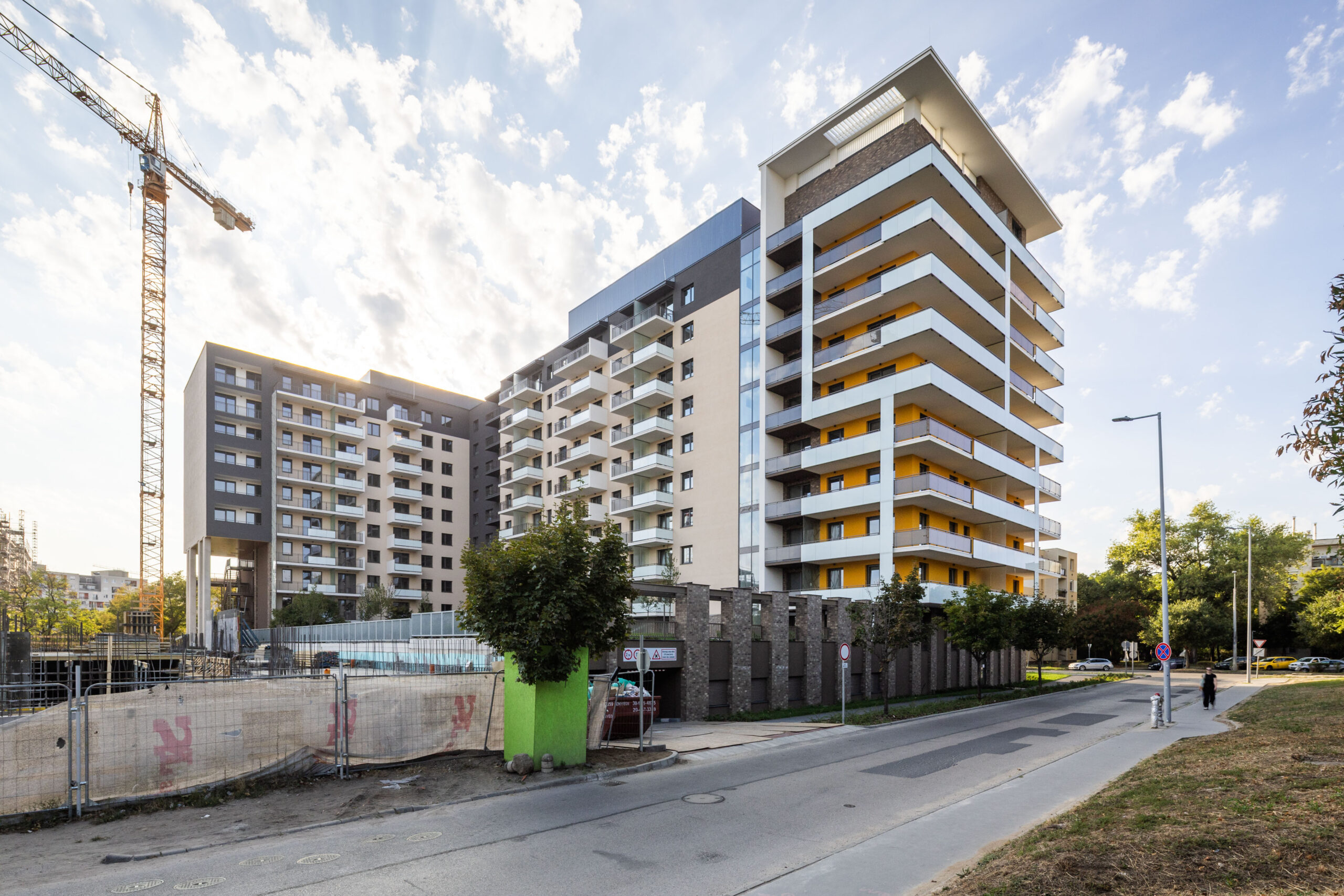 Woodland September 2025