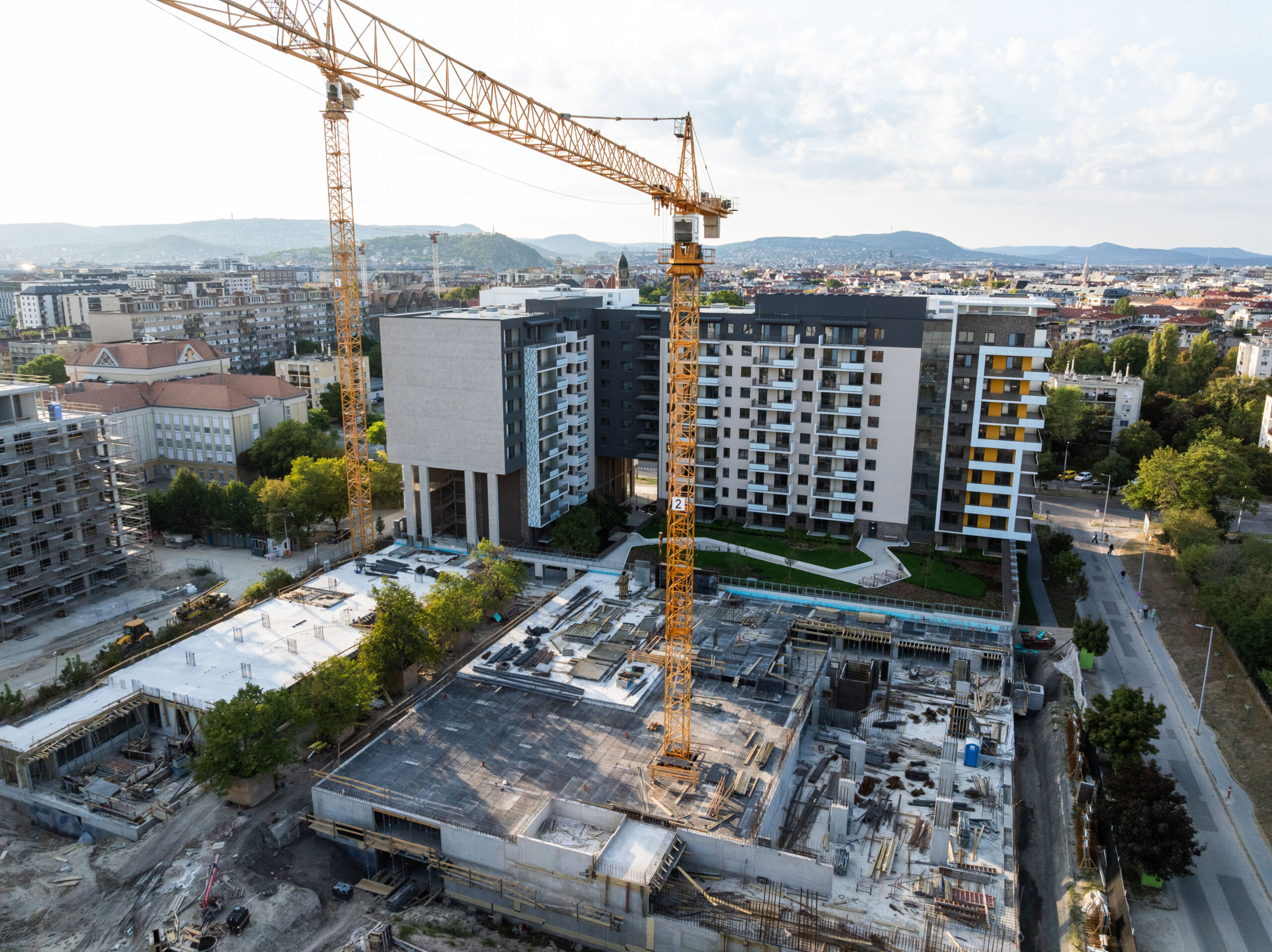 Woodland September 2025