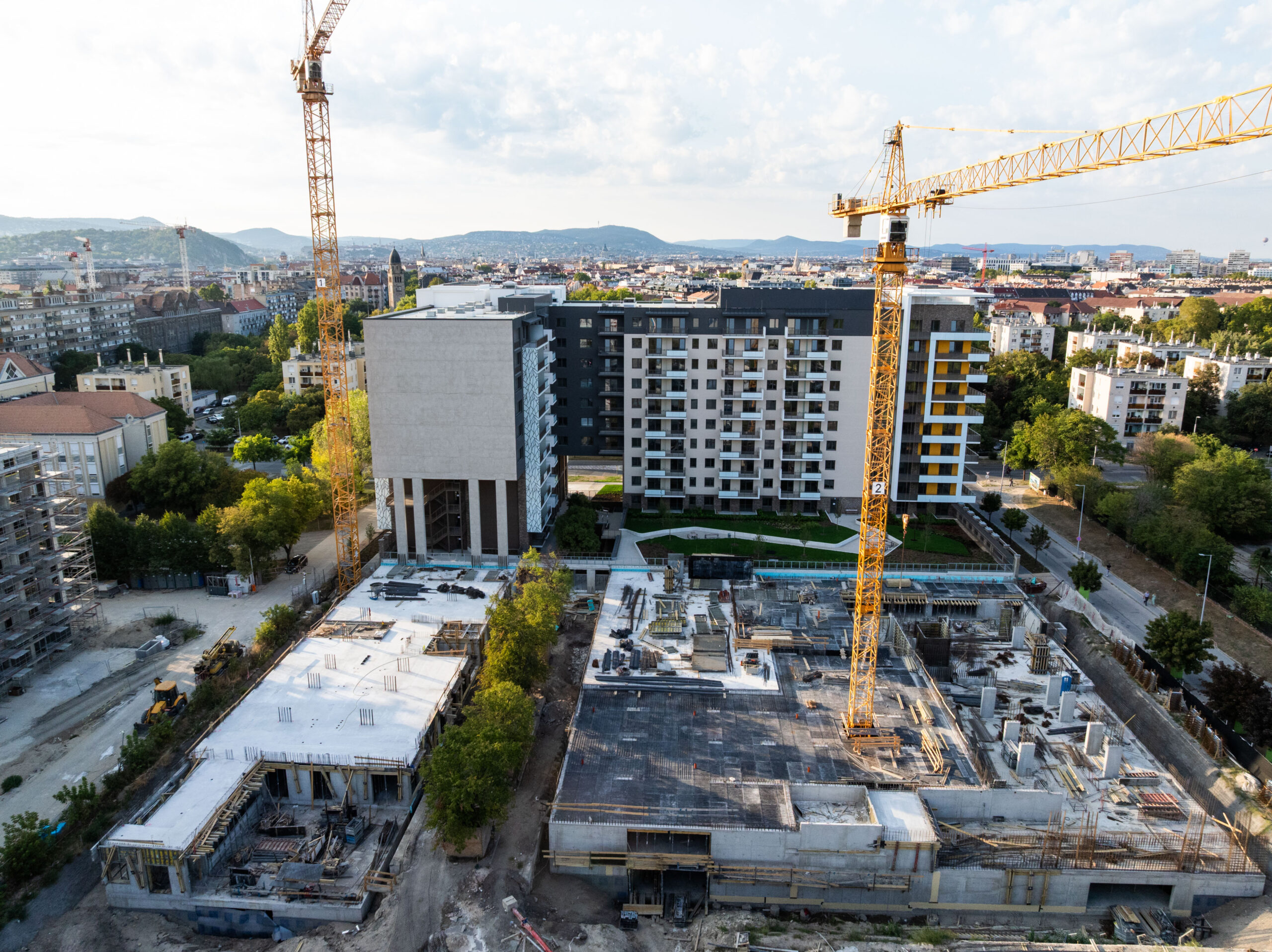 Woodland September 2025