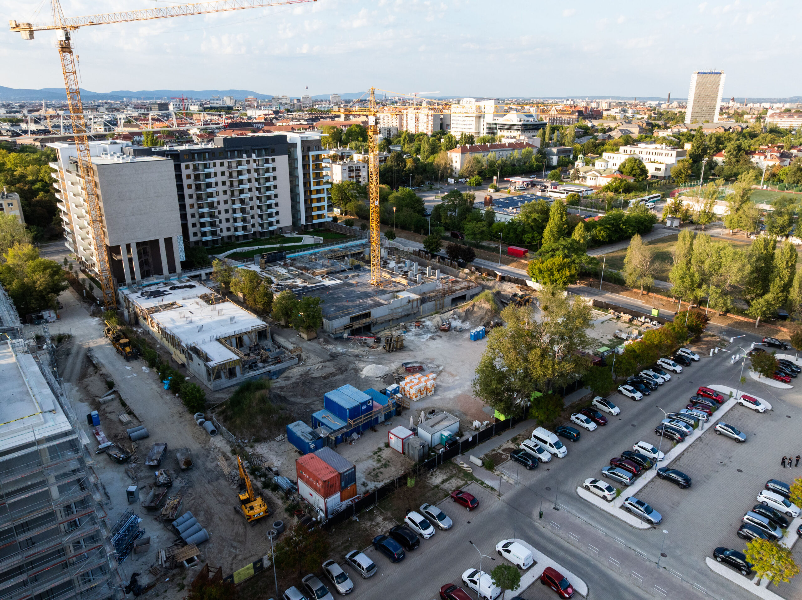 Woodland September 2025