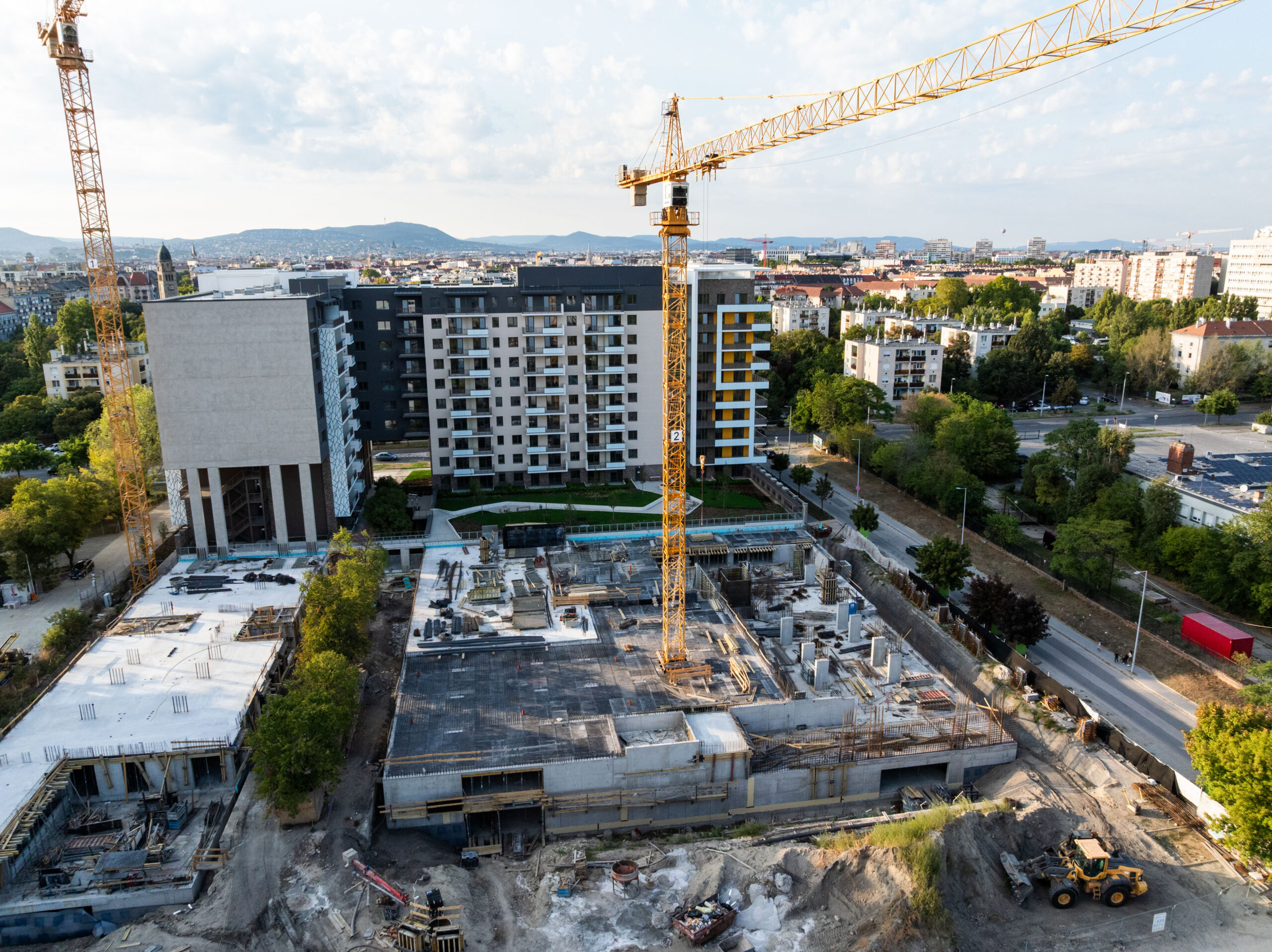 Woodland September 2025