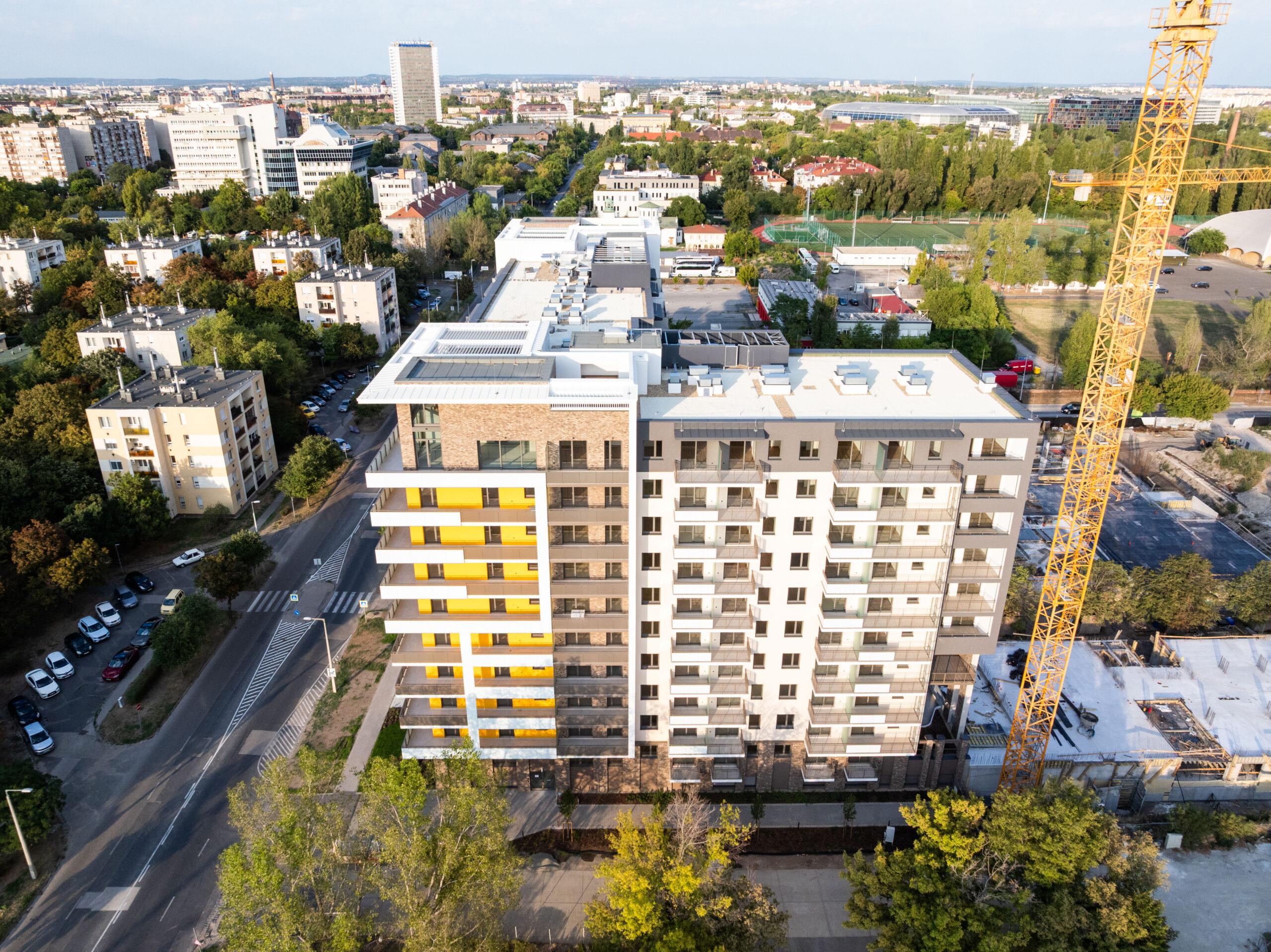 Woodland September 2025