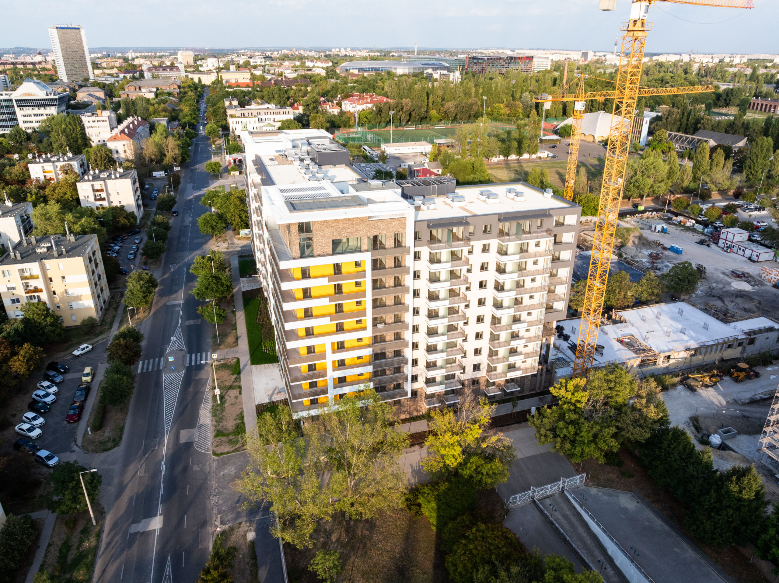 Woodland September 2025