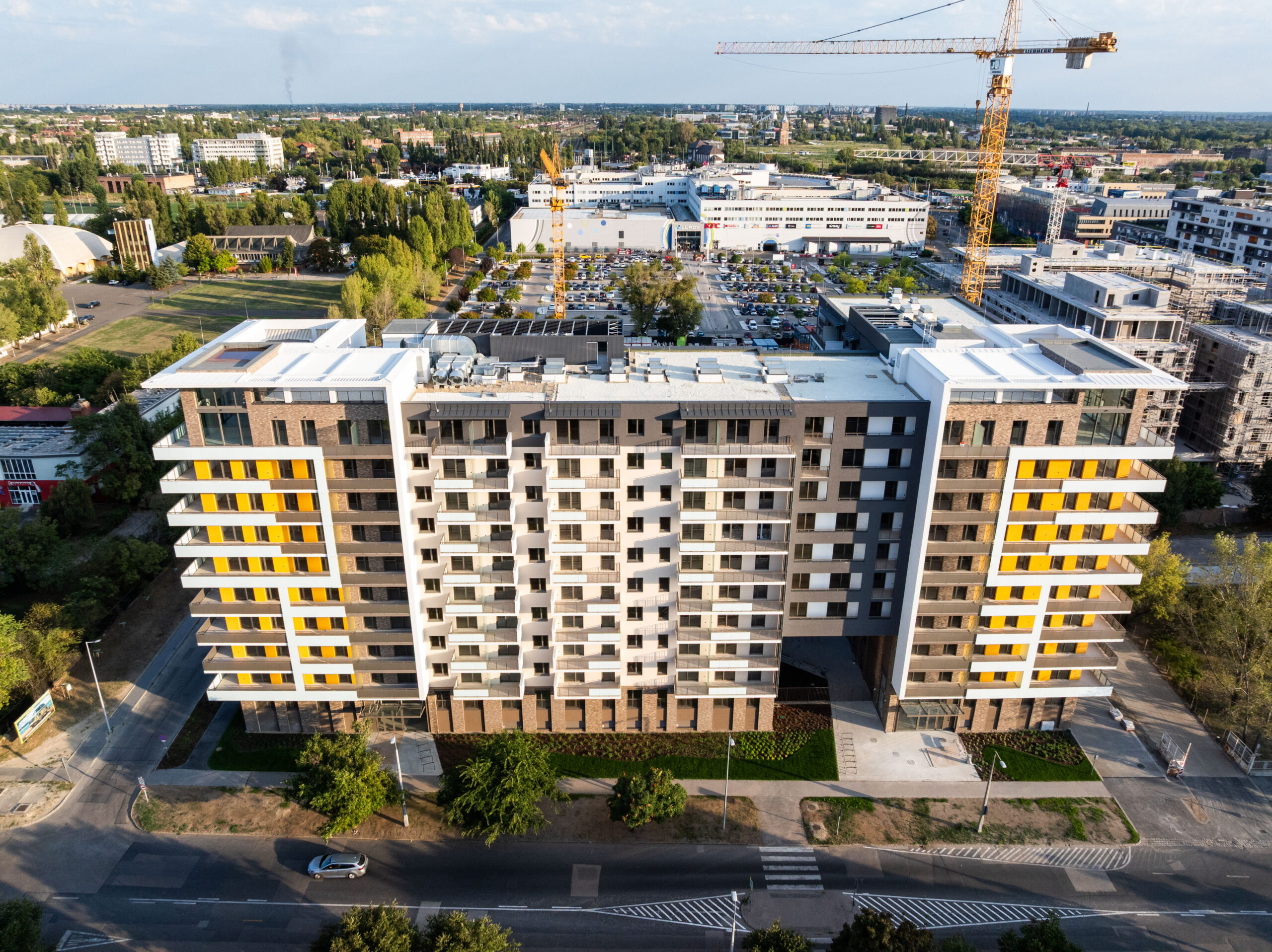 Woodland September 2025